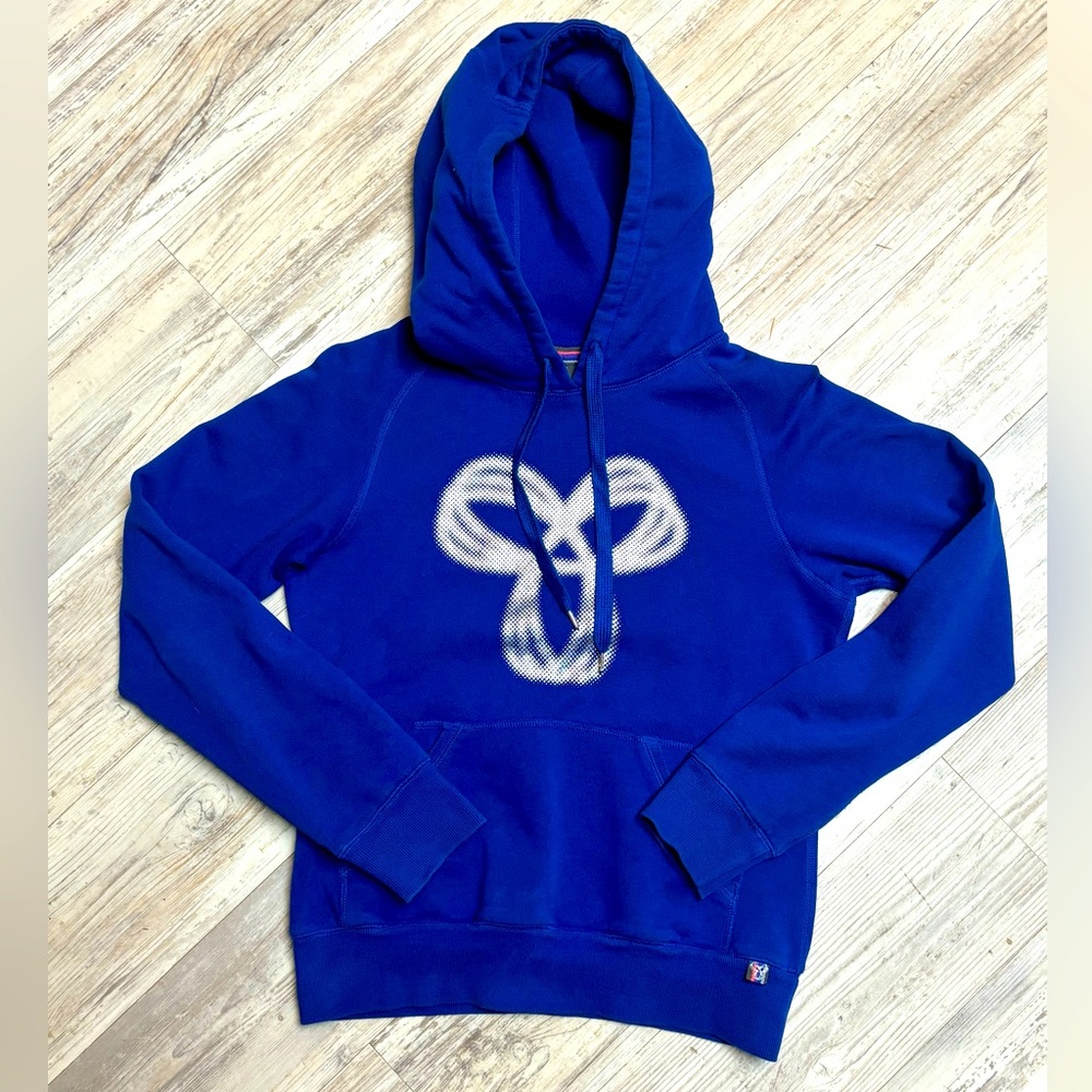 Aritzia TNA Cozy Fleece-Lined Hoodie Cobalt Blue Silver With Logo Size Small